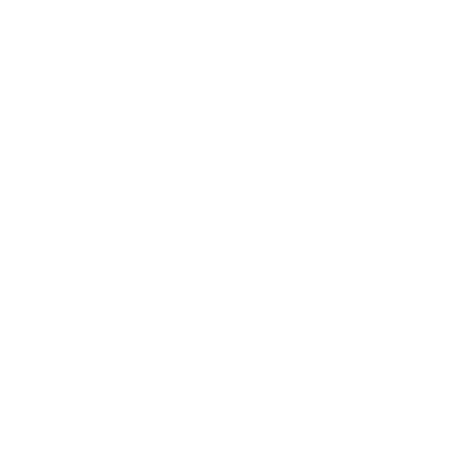 SDR Leaders of USA